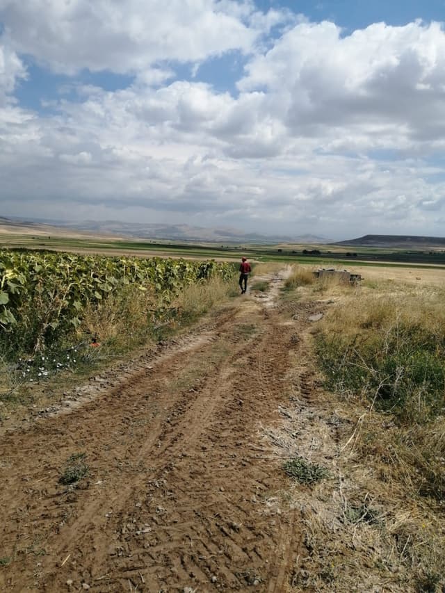 Kalkancık Çekirdek Tarlasını kontrol eden Ağa